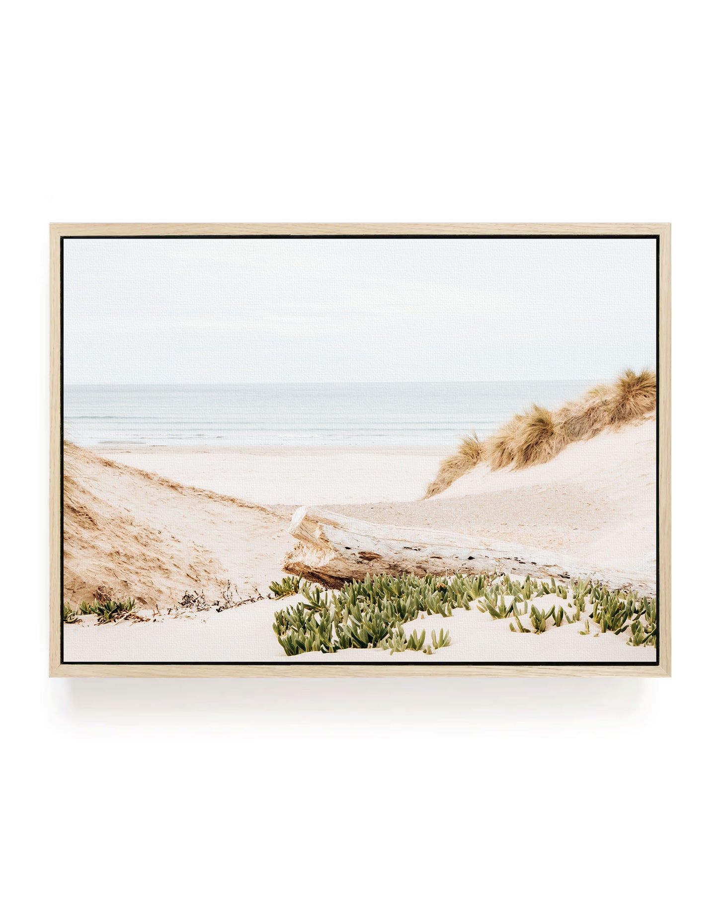 Dune Passage – Morro Bay Beach Wall Art
