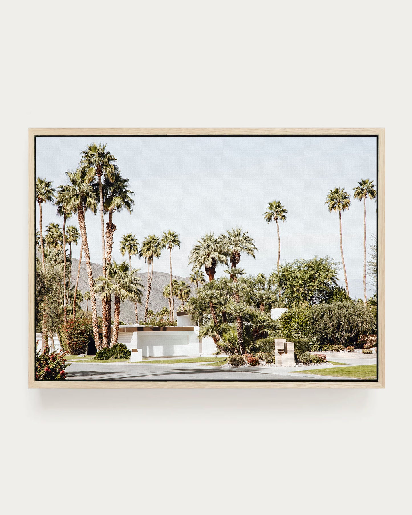 PALM RETREAT
