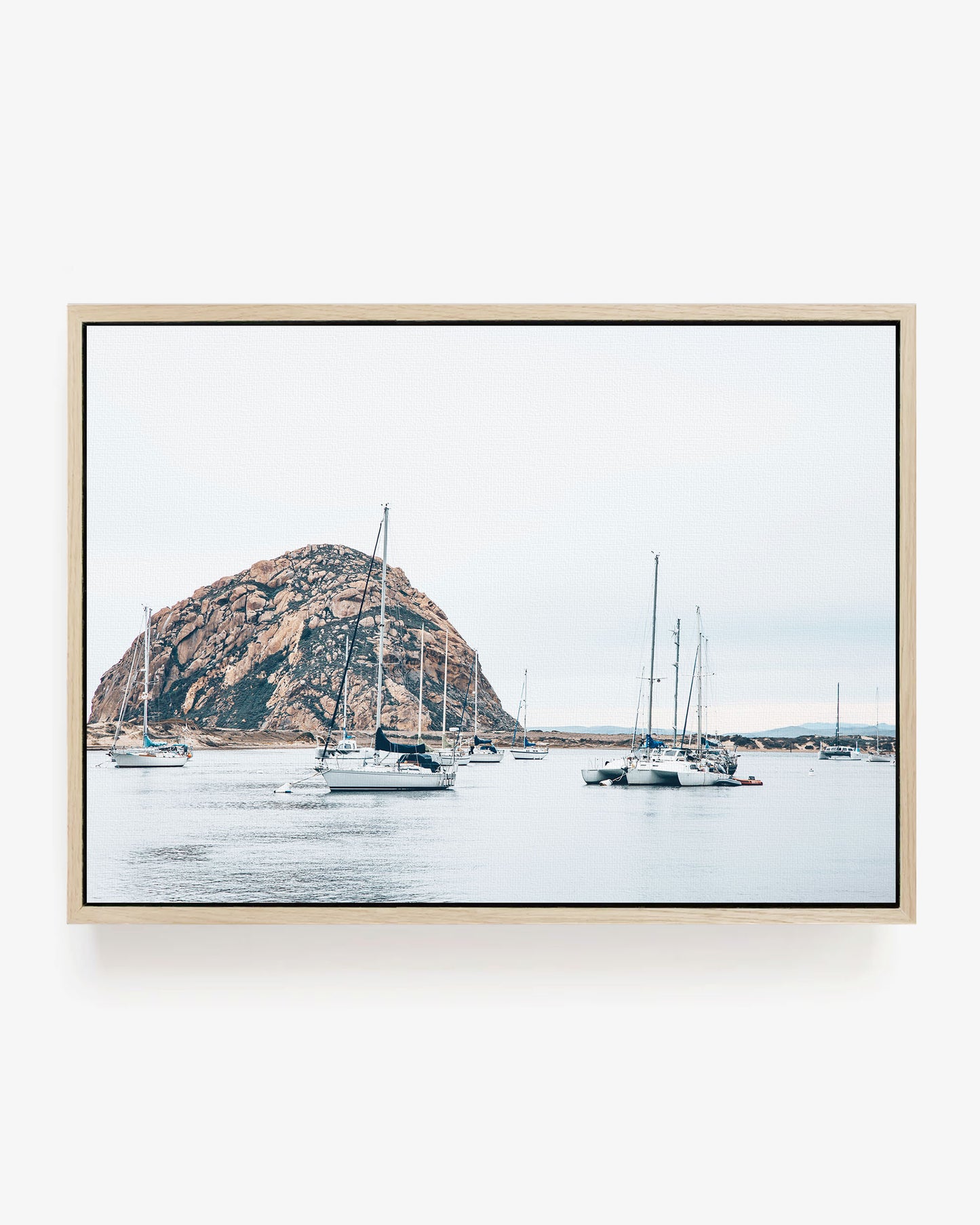 Harbor Calm