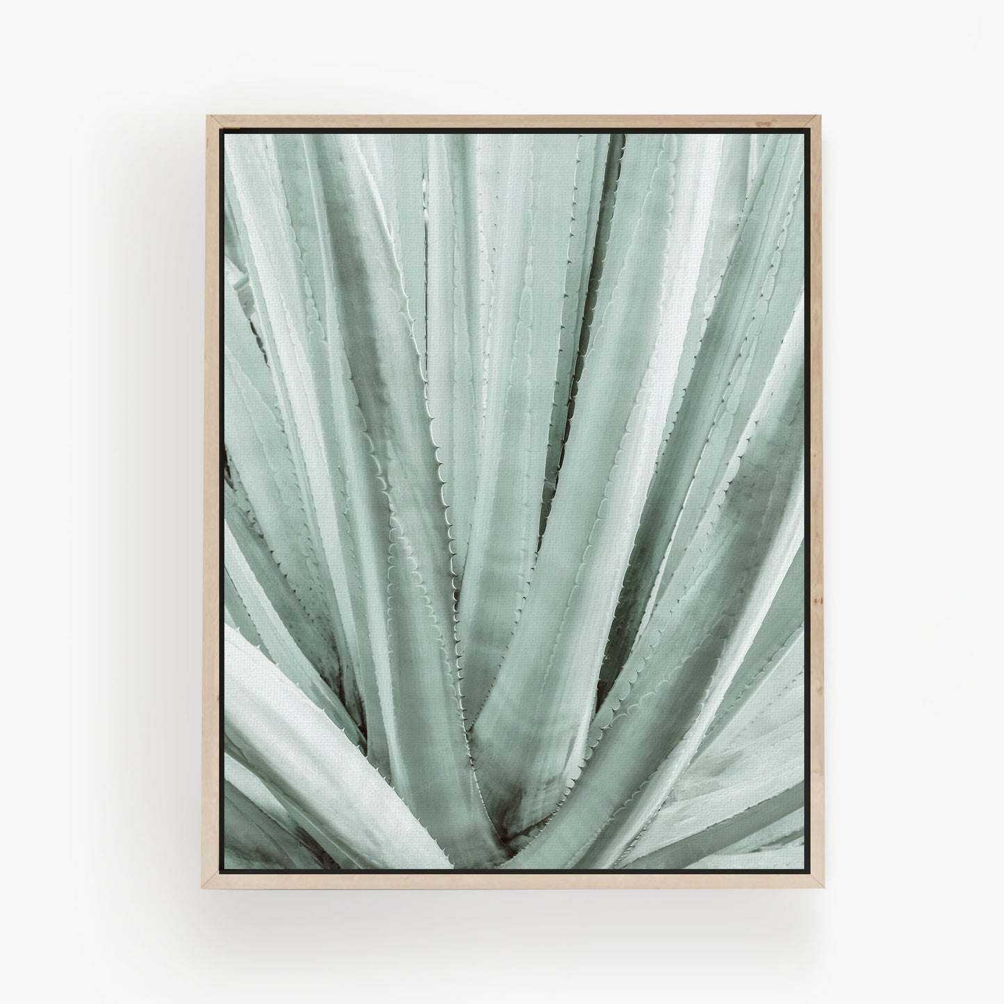 Botanical Symmetry
