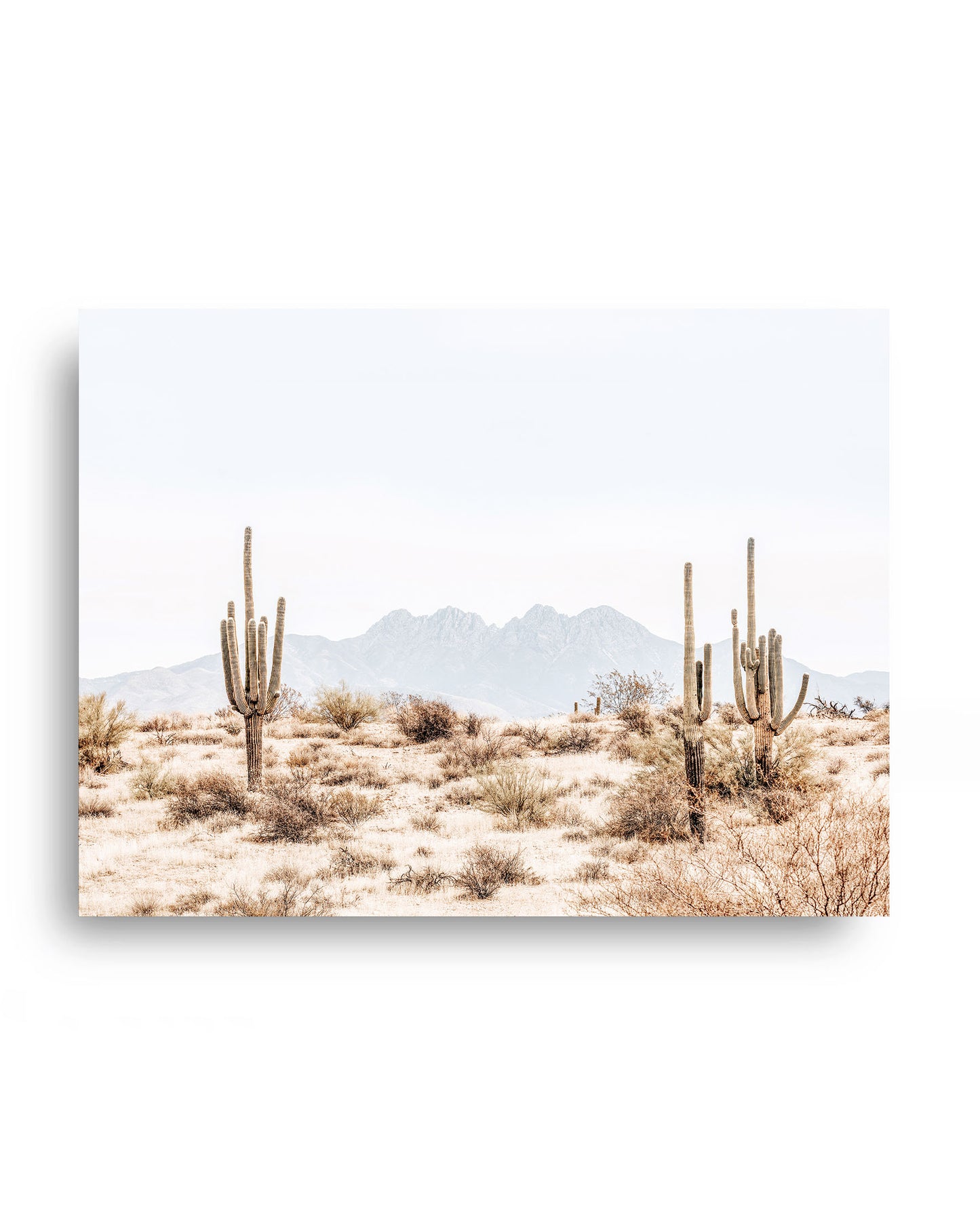 Four Peaks Horizon