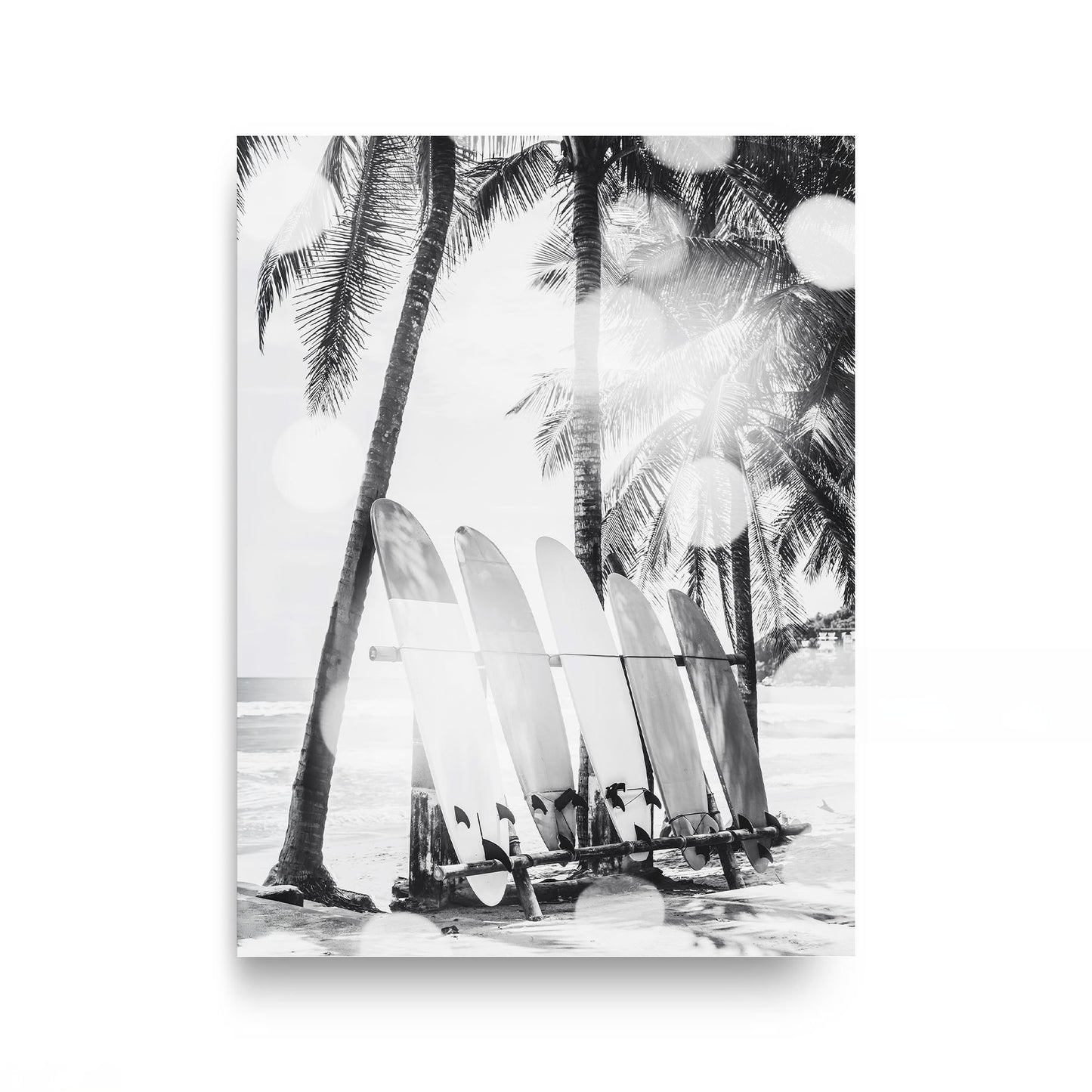 Island Lineup