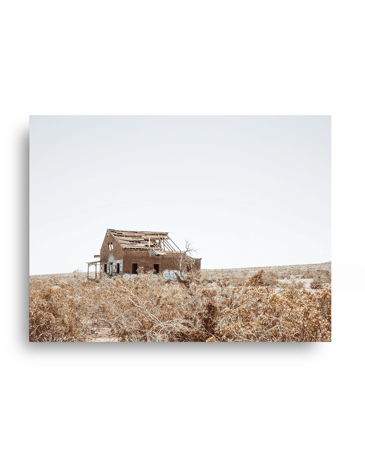Lost Desert Homestead