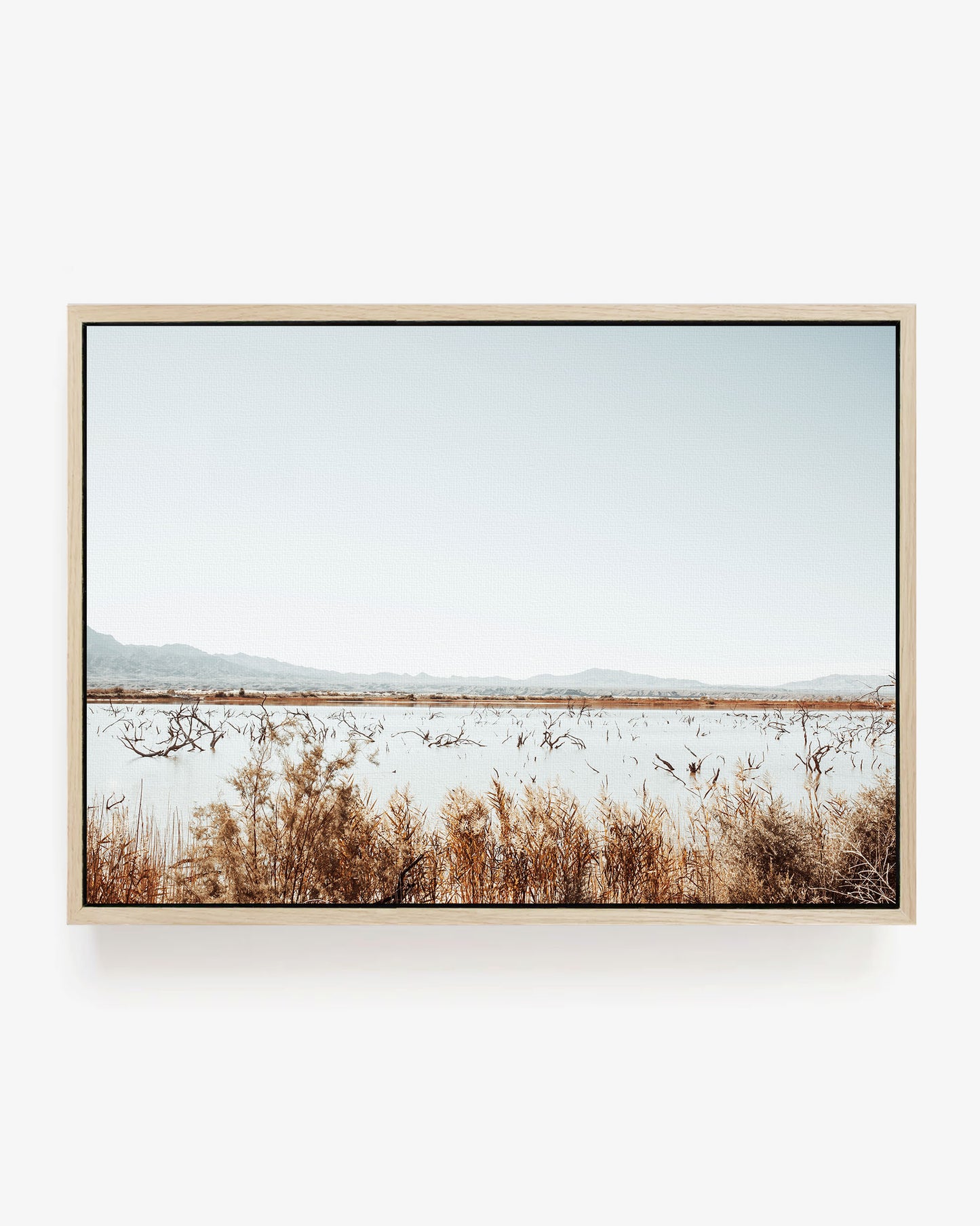 Desert Marsh