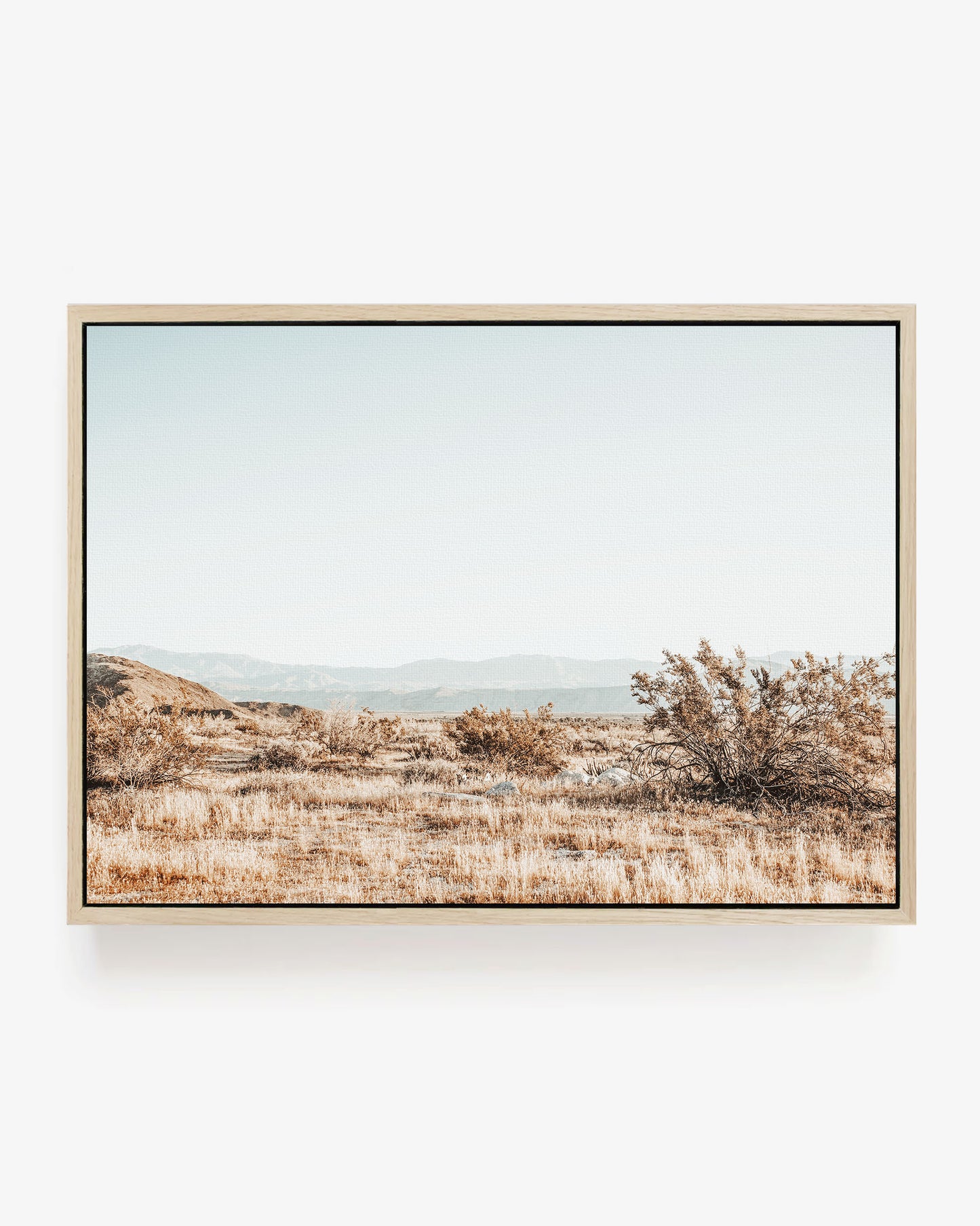 Anza Borrego Desert