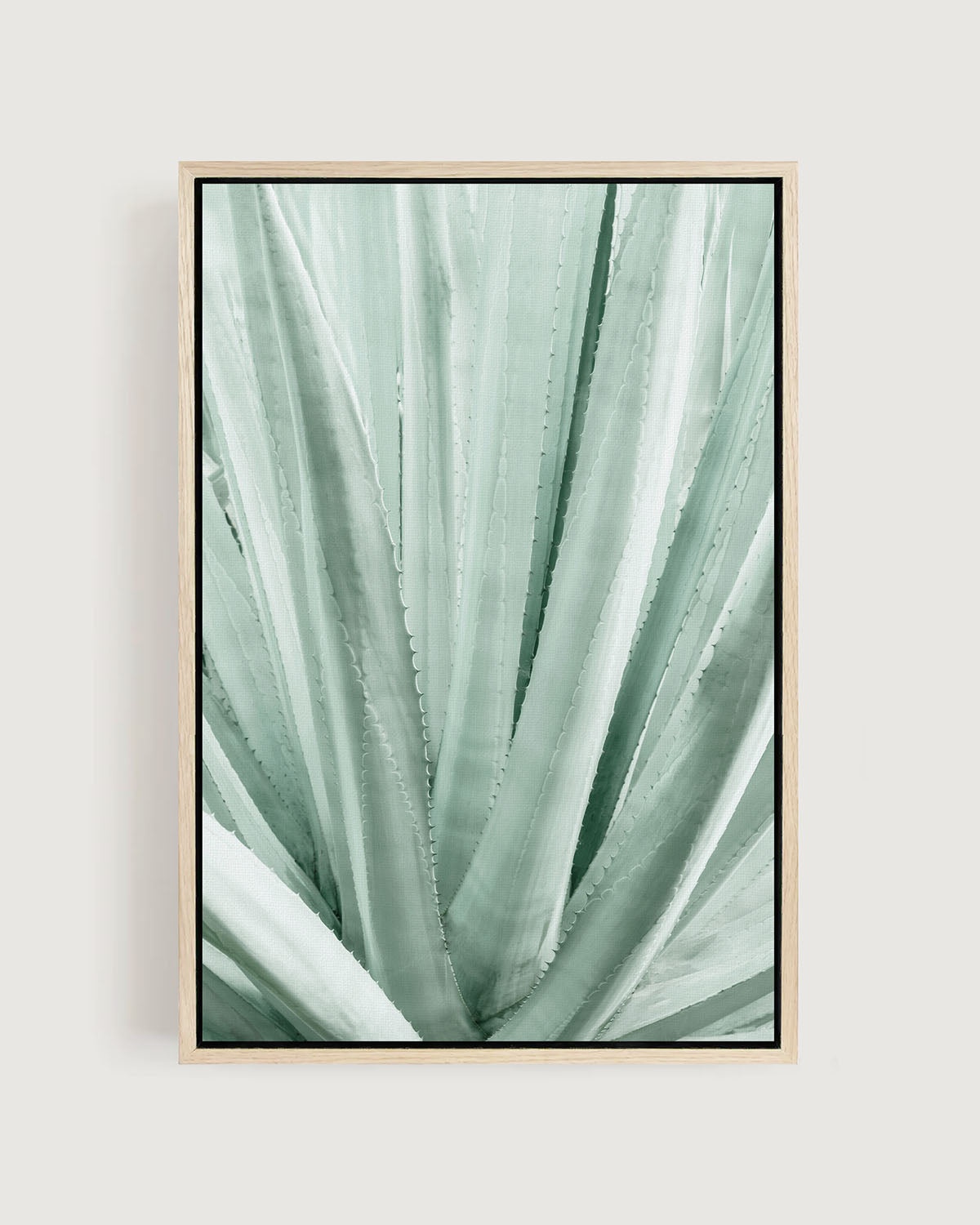 Soft Lines – Agave Plant Wall Art