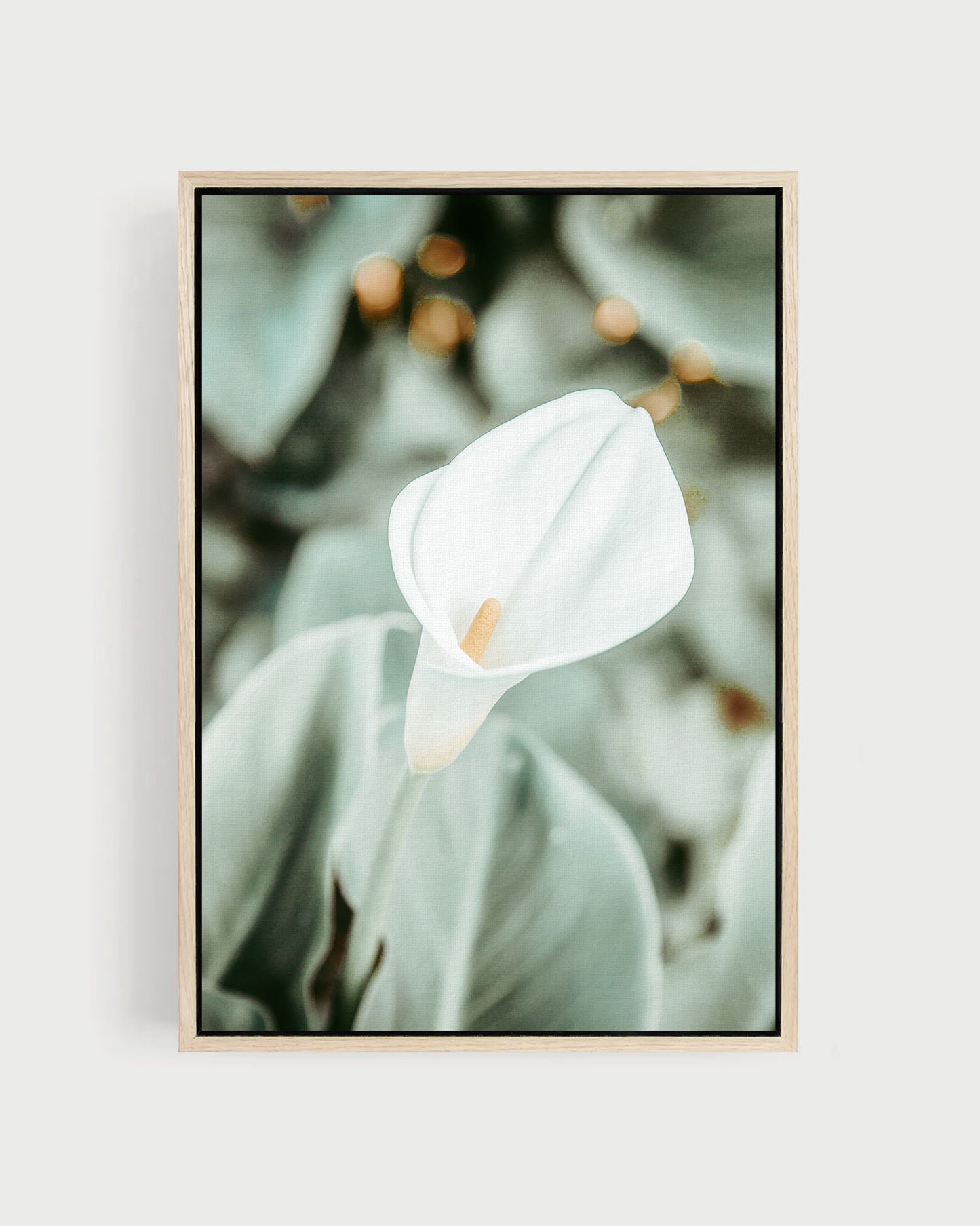 Quiet Bloom – Calla Lily Wall Art