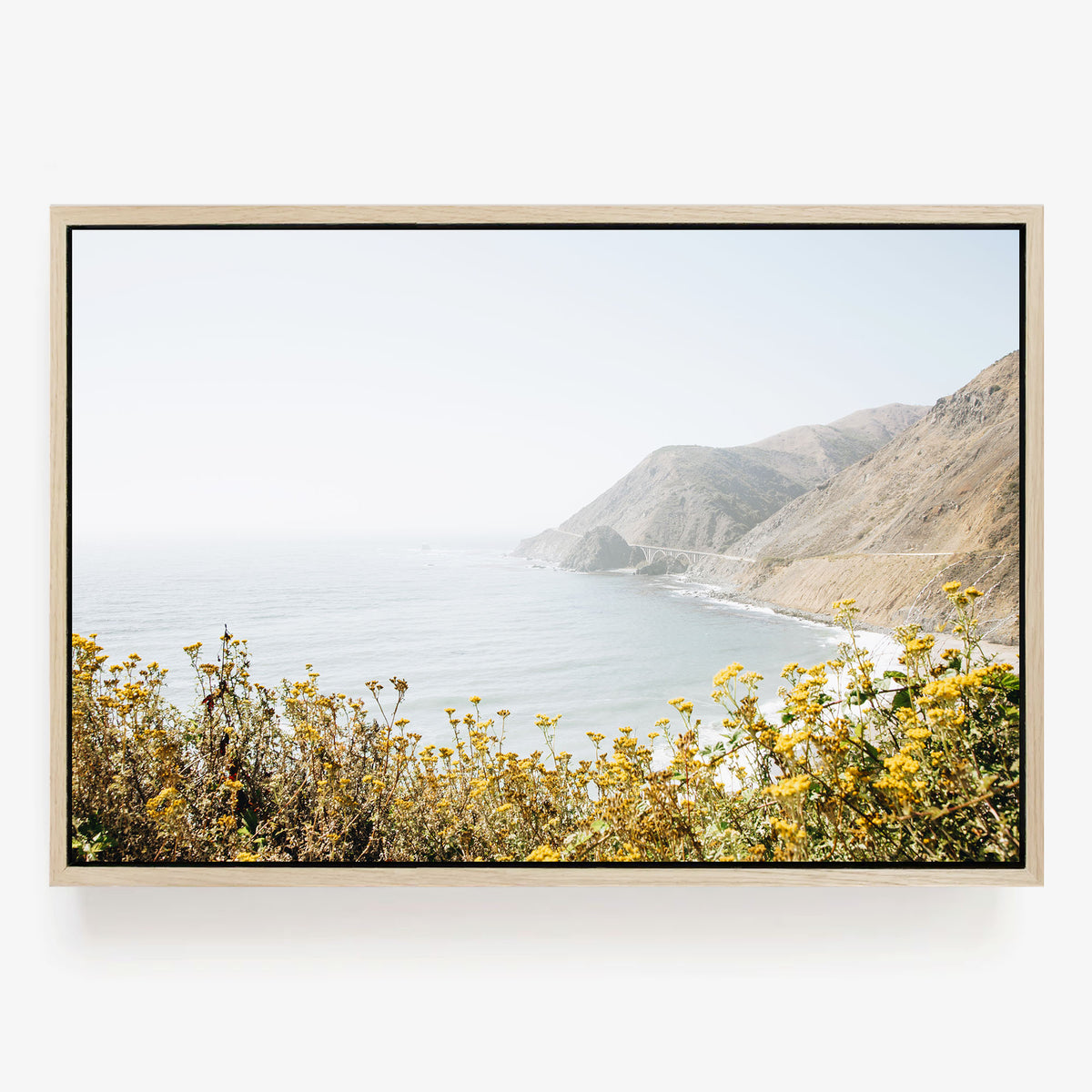 Pacific Overlook