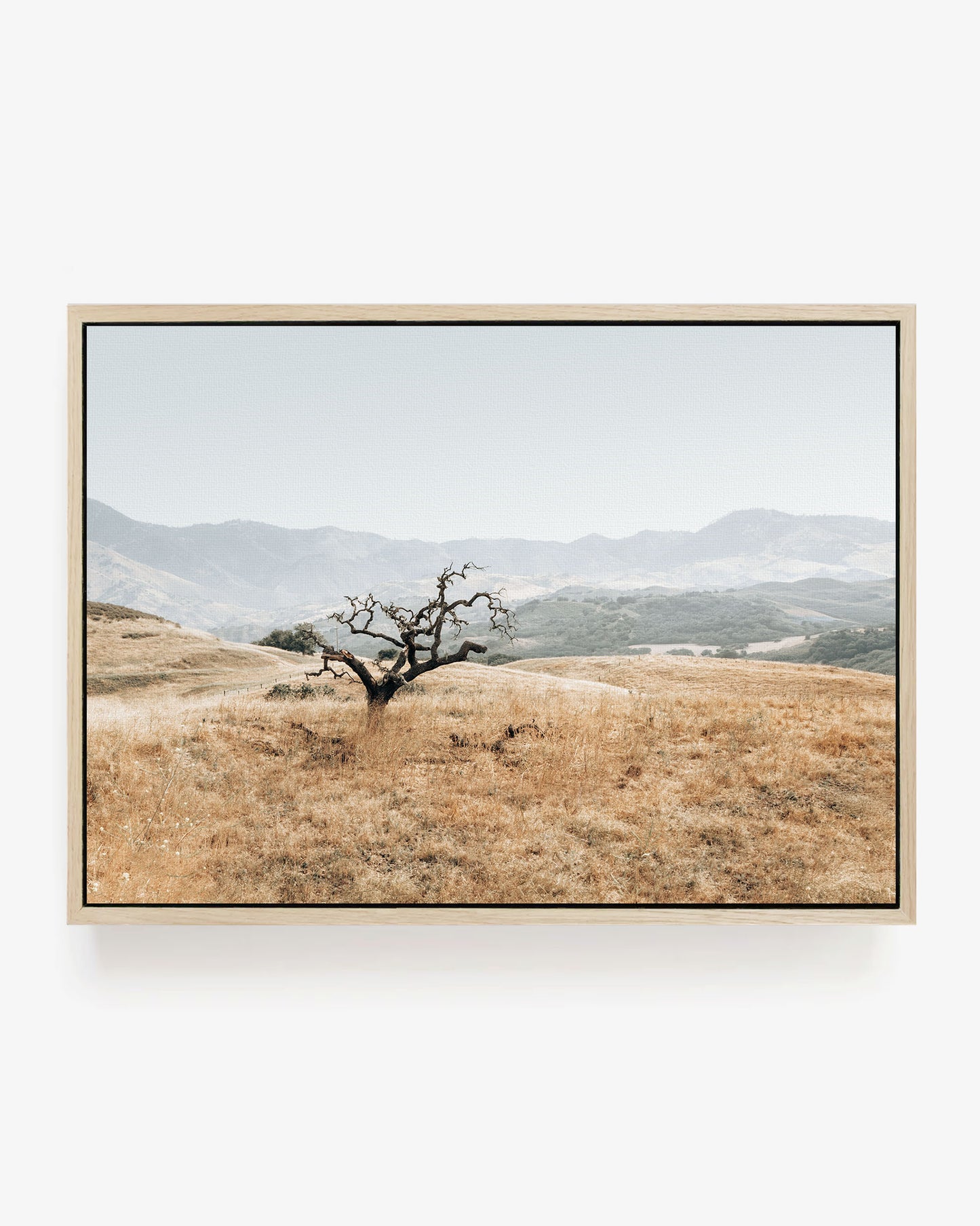 Golden Terrain