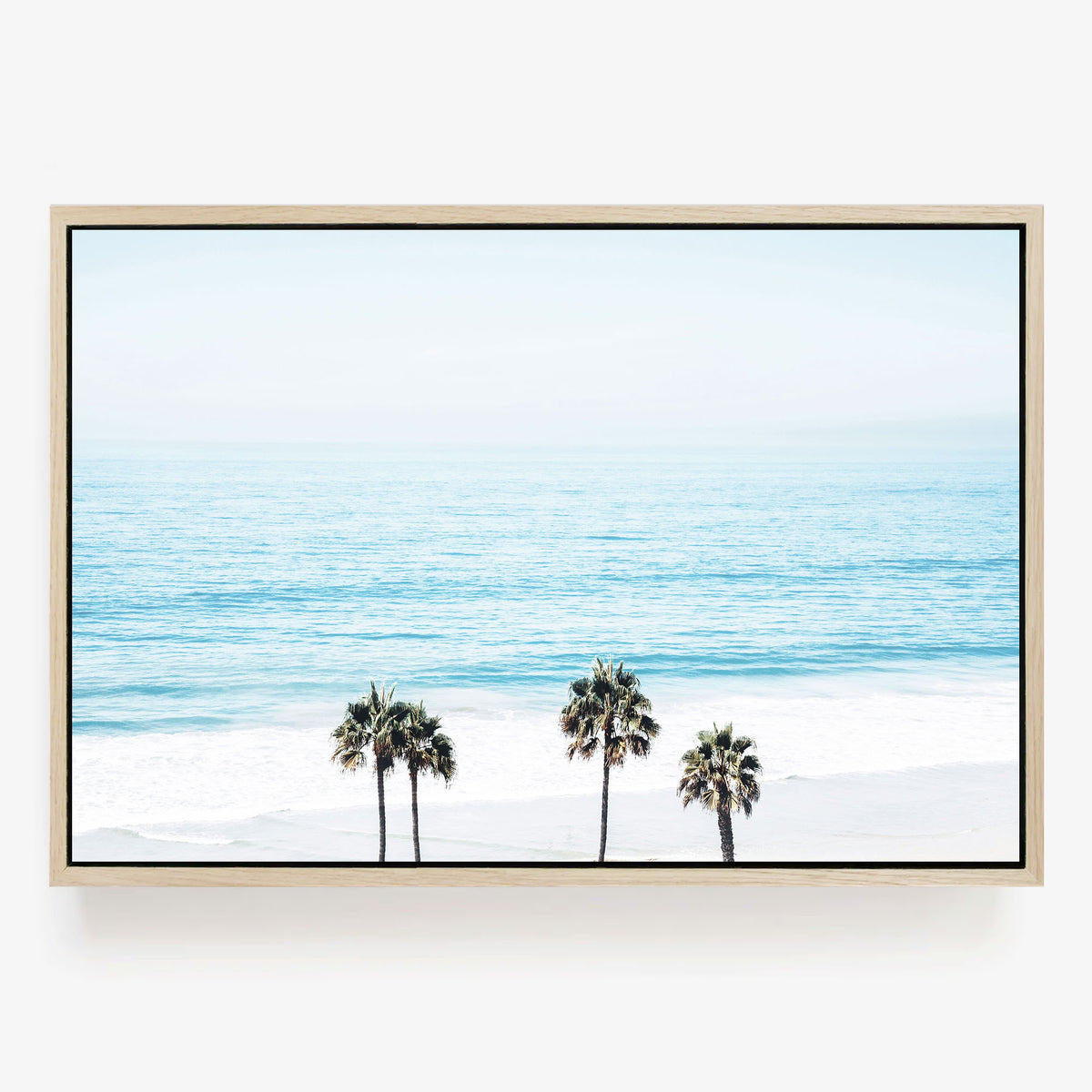Pacific Palms