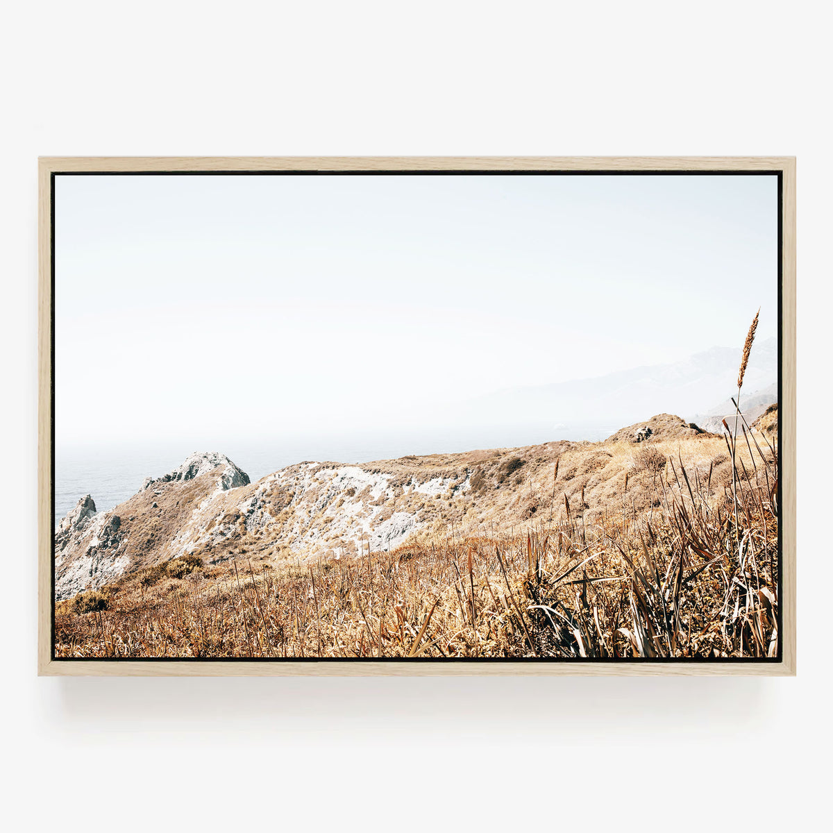 Wild Headland