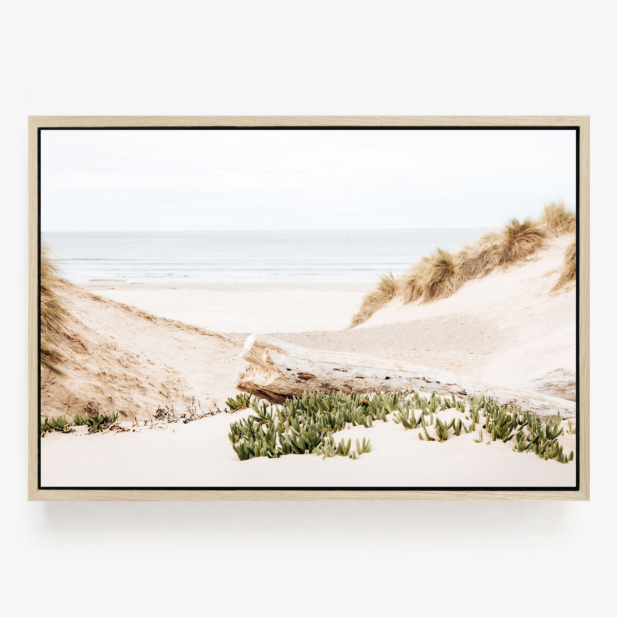 Dune Passage