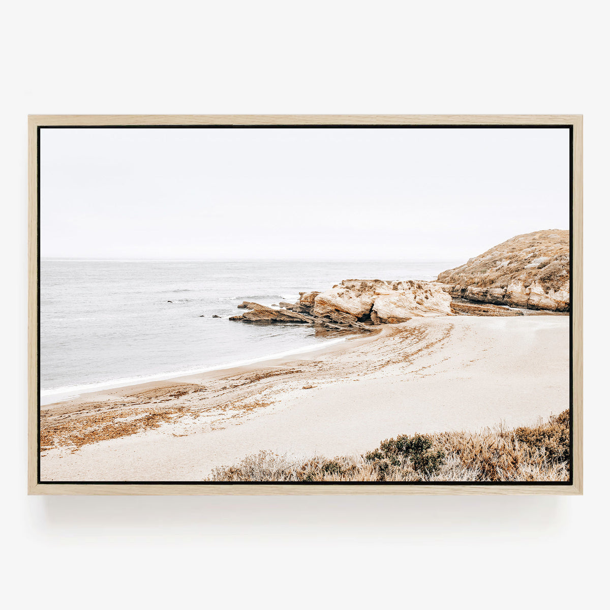 Coastal Cove