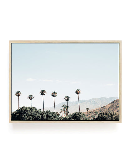 Sunny Grove – Palm Springs Wall Art