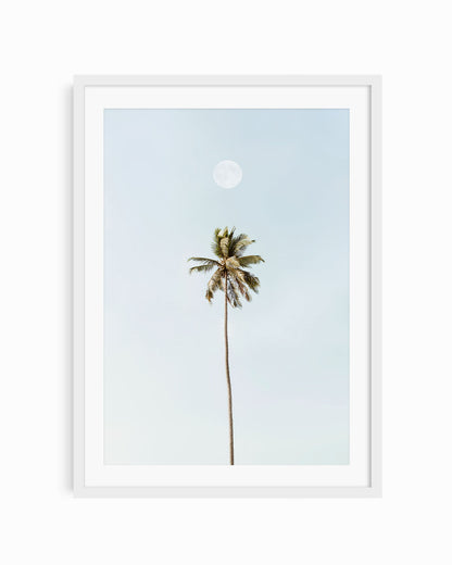 MOONLIT PALM