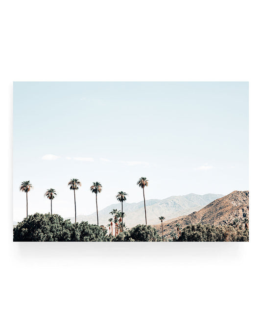 Palm Springs landscape wall art featuring tall slender palm trees rising above lush greenery, with desert mountains in the background under a clear pale blue sky.