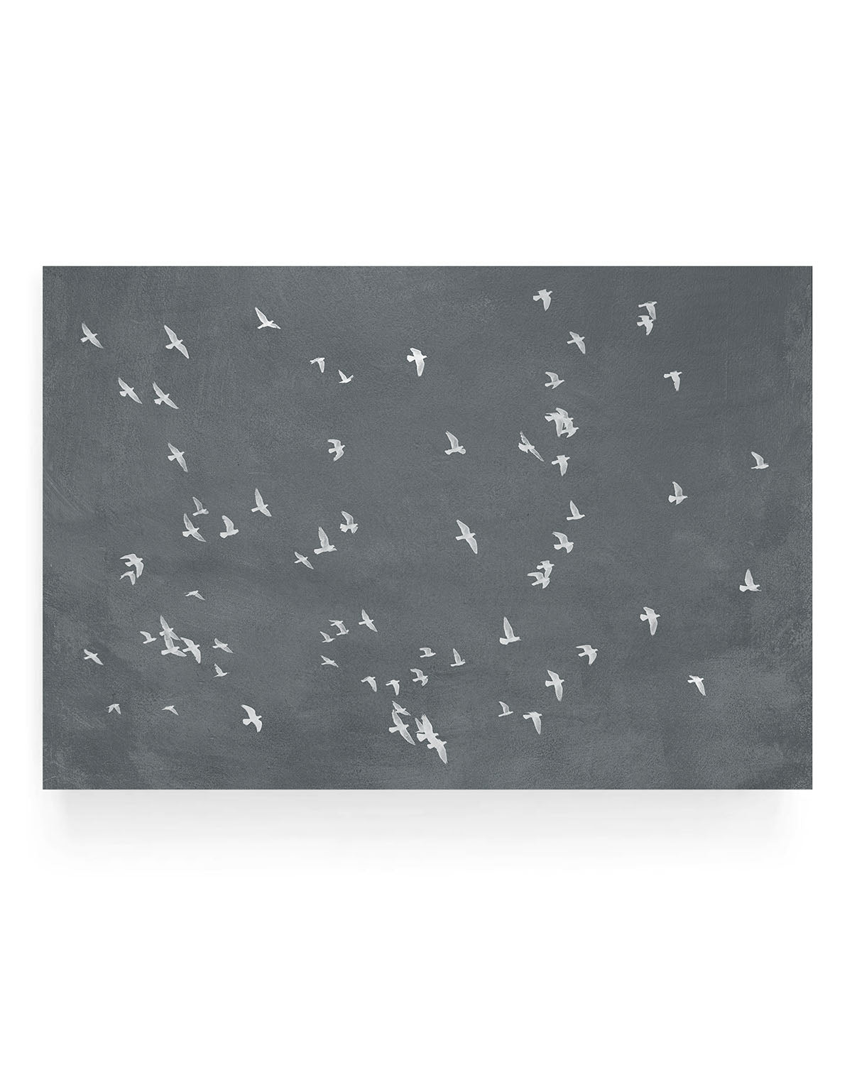 Minimalist graphite photograph of a flock of white birds flying across a dark gray sky, high contrast aerial bird silhouettes in motion.