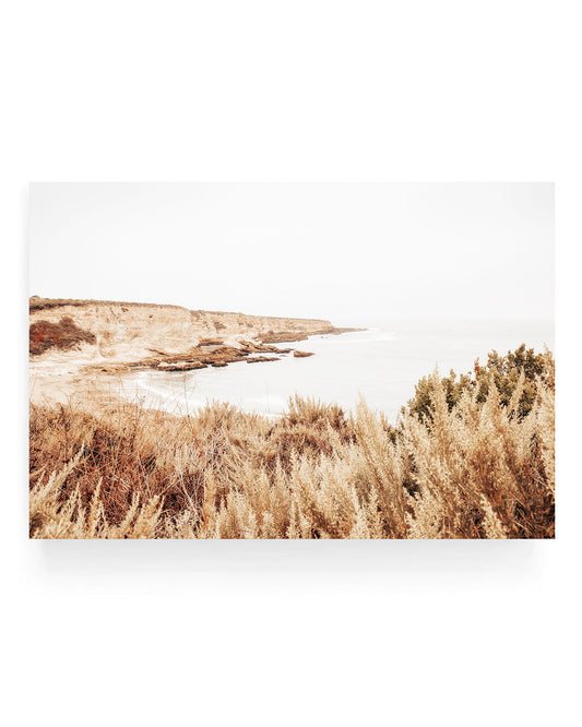 Warm coastal landscape photograph of Montaña de Oro State Park in California featuring golden coastal brush in the foreground overlooking rugged sandstone cliffs and calm Pacific Ocean water under a soft hazy sky.