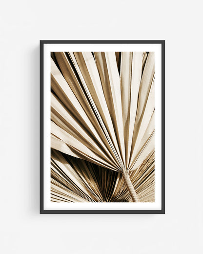 Dried palm leaf photography in black frame showing neutral beige fan fronds with natural texture, modern botanical wall art print.