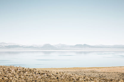 Mono Lake landscape photography featuring calm blue water, distant mountains, and golden high-desert sagebrush in California.