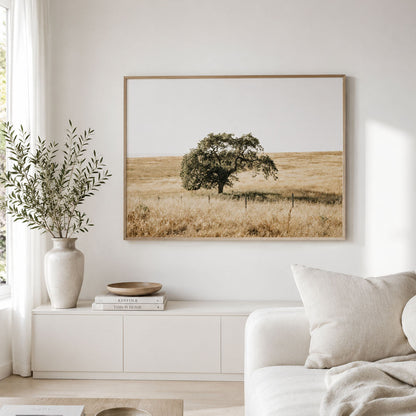 Lone Tree