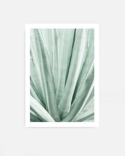 Soft Lines – Agave Plant Wall Art