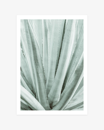 Minimalist agave wall art featuring a close-up of sculptural leaves in soft sage green and muted botanical tones.