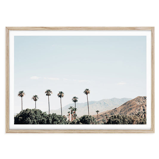 Vintage Palm Springs landscape featuring palm trees with mountain backdrop in golden desert light, fine art photo print for California-inspired home decor