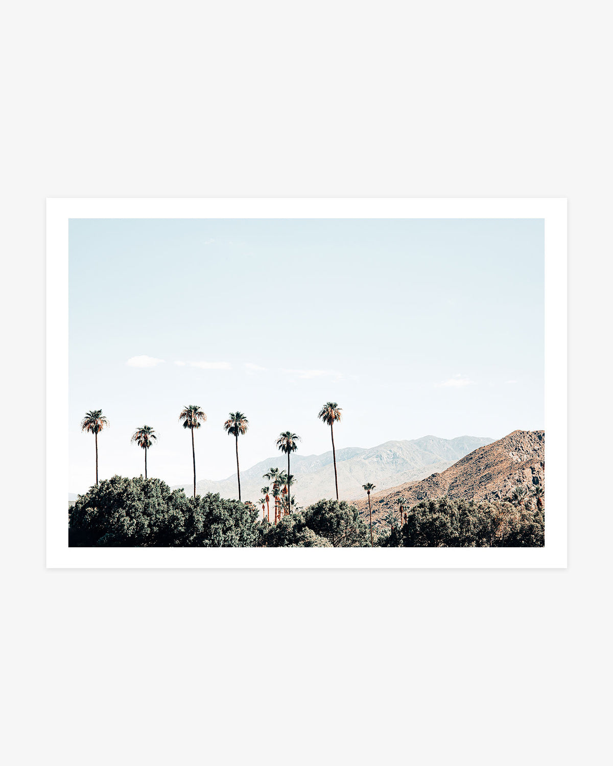 Palm Springs California landscape wall art featuring tall palm trees against rugged desert mountains beneath a pale blue sky.
