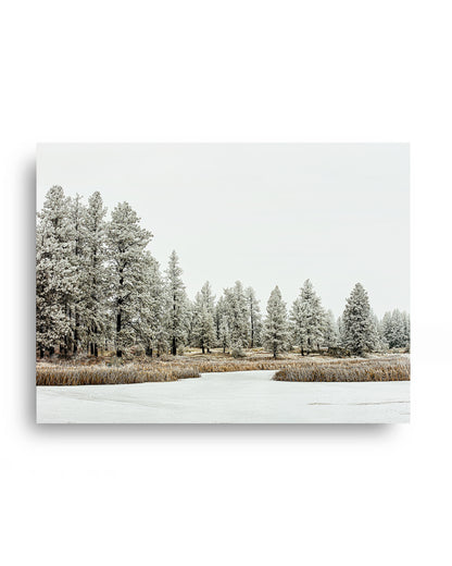 Winter Wilderness