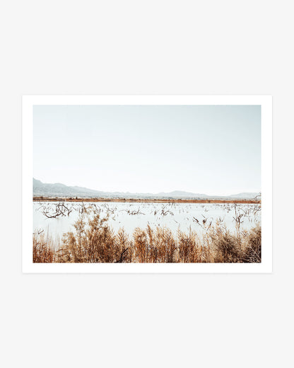 Desert Marsh