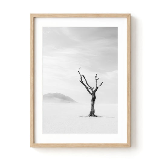 Lone Desert Tree