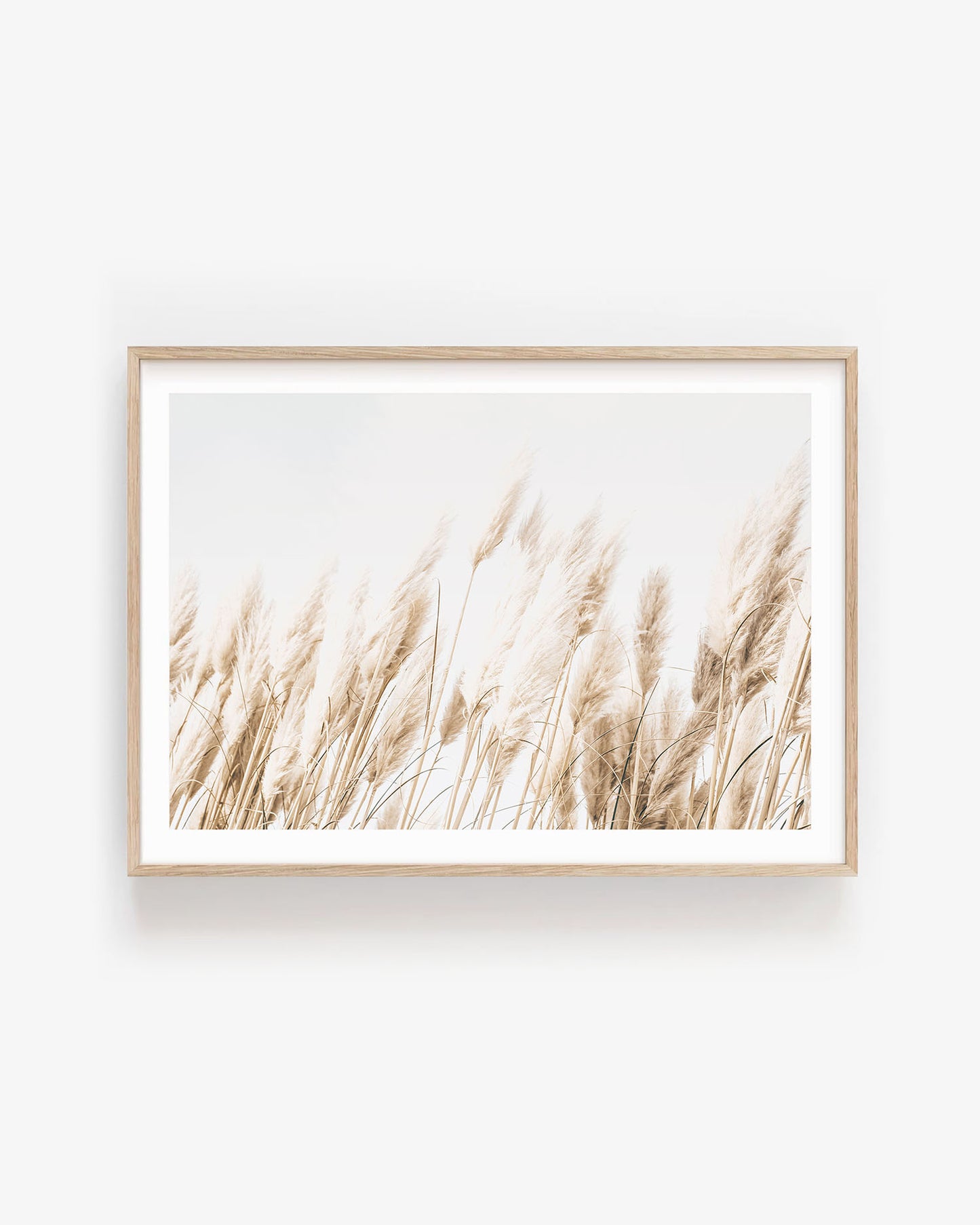 BEACH GRASS