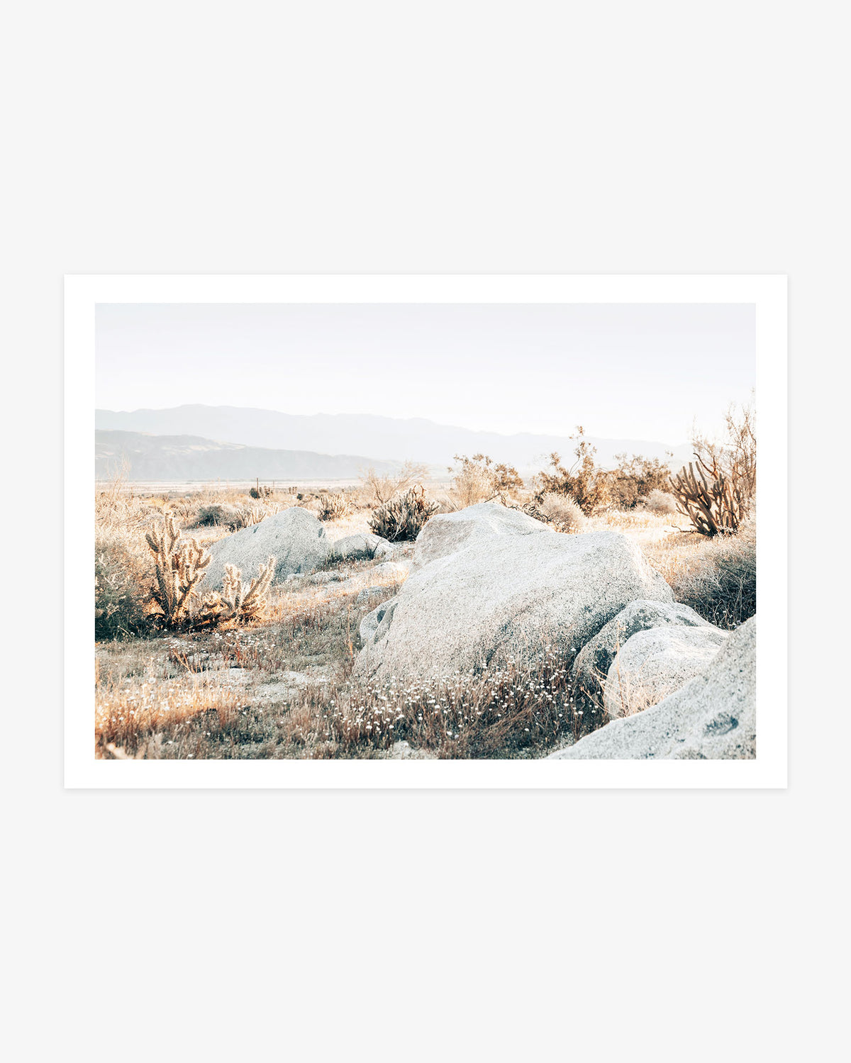 Pale granite boulders surrounded by desert scrub with hazy mountains in Anza-Borrego Desert State Park.
