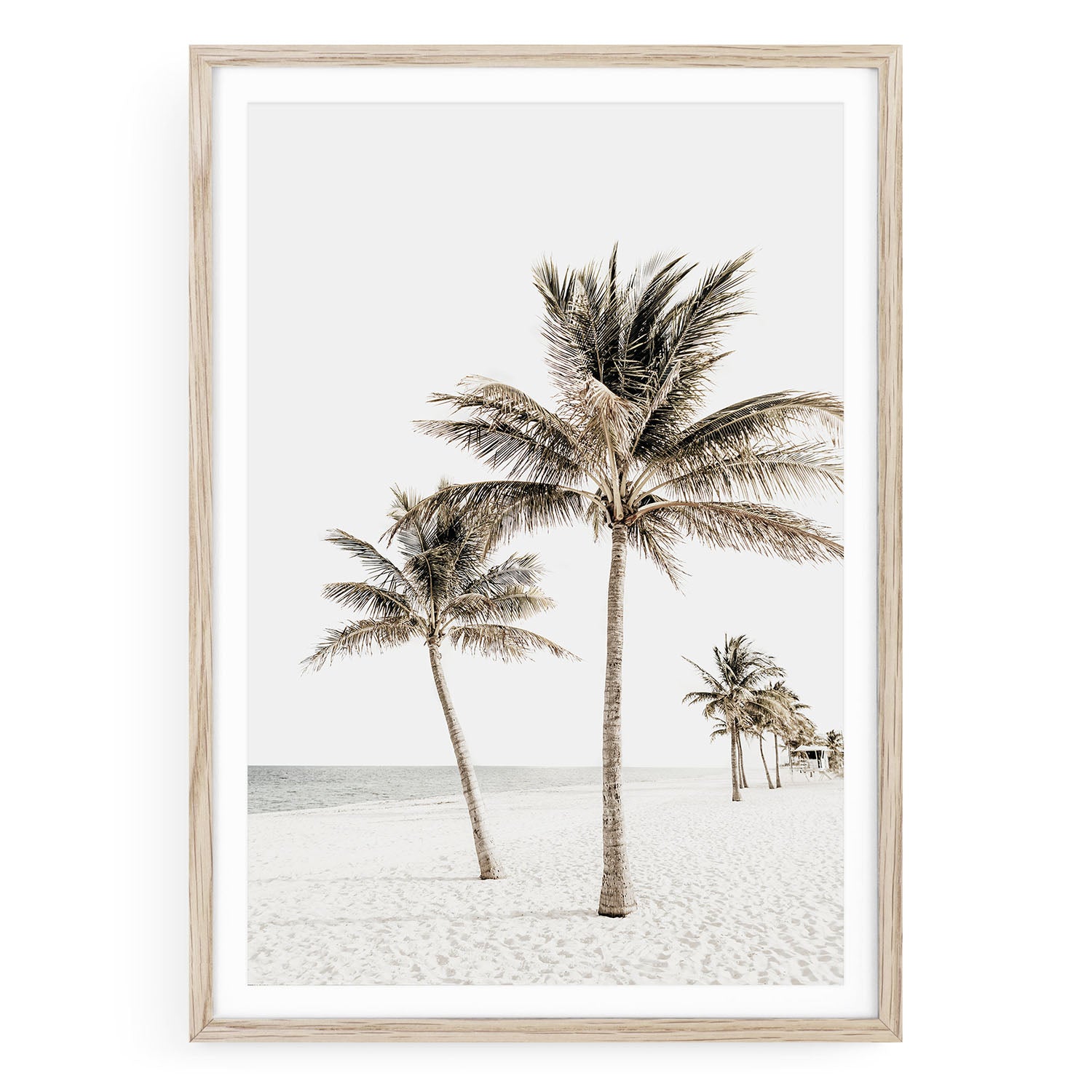 Tropical palm tree print for coastal homes. Add warm summer vibes to your space with this beach-inspired boho wall art. Framed or unframed options.