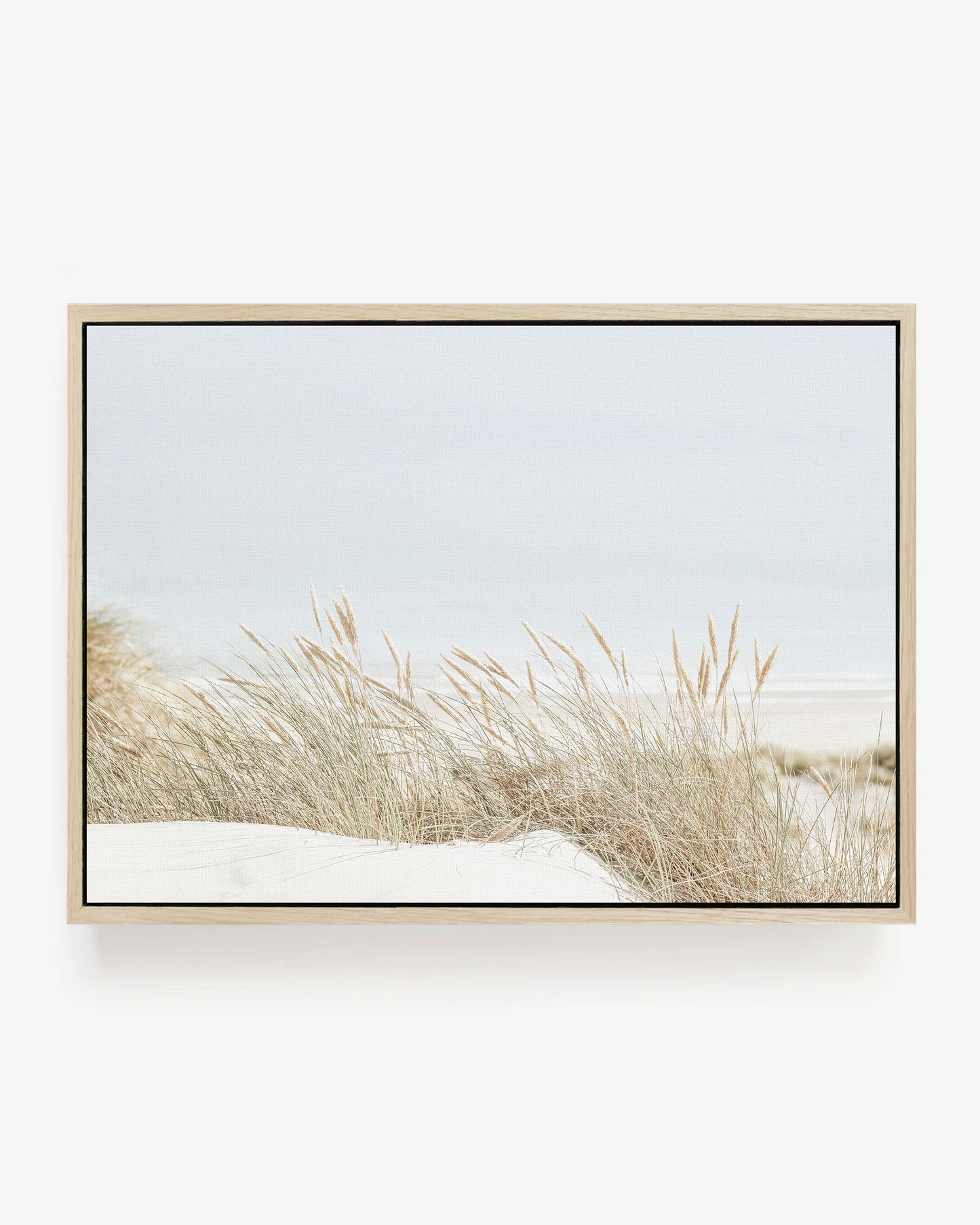 Dune Grass by the Sea