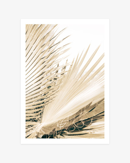 Neutral palm leaf photography featuring a close-up of dried fronds in soft cream and beige tones with layered natural texture.