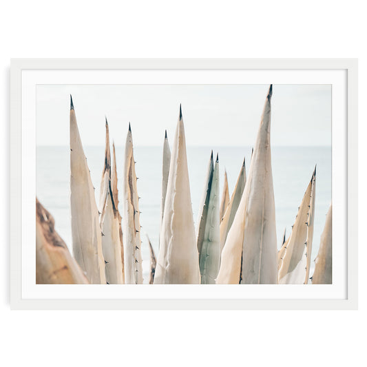 Sunlit coastal agave plant with soft light, airy California nature landscape print, minimalist fine art wall decor for beach house or serene modern interiors.