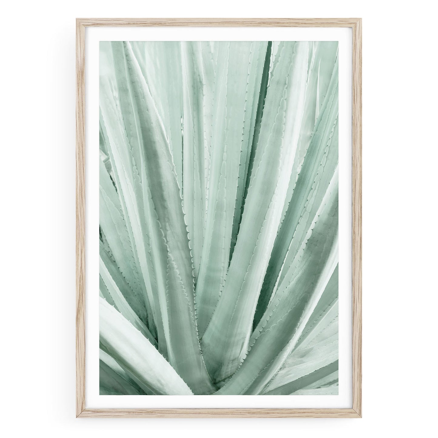 Mint green agave plant fine art print featuring desert botanical texture, tequila-inspired southwestern wall decor, framed or unframed neutral artwork