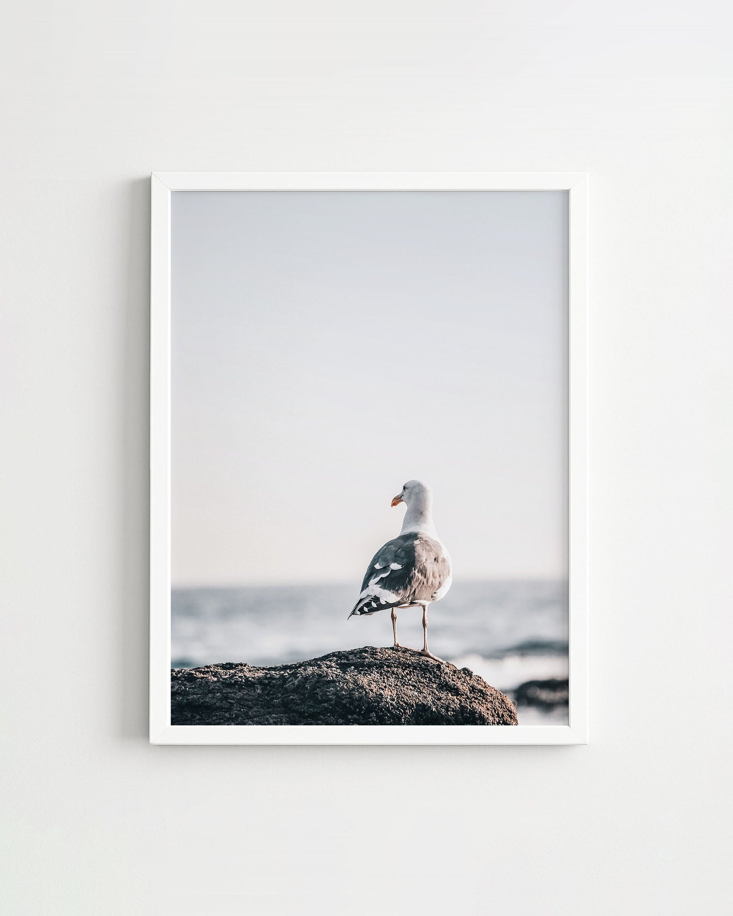 SEAGULL OCEAN PRINT – FREE DIGITAL DOWNLOAD