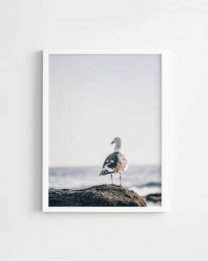 SEAGULL OCEAN PRINT – FREE DIGITAL DOWNLOAD