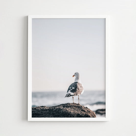 SEAGULL OCEAN PRINT – FREE DIGITAL DOWNLOAD
