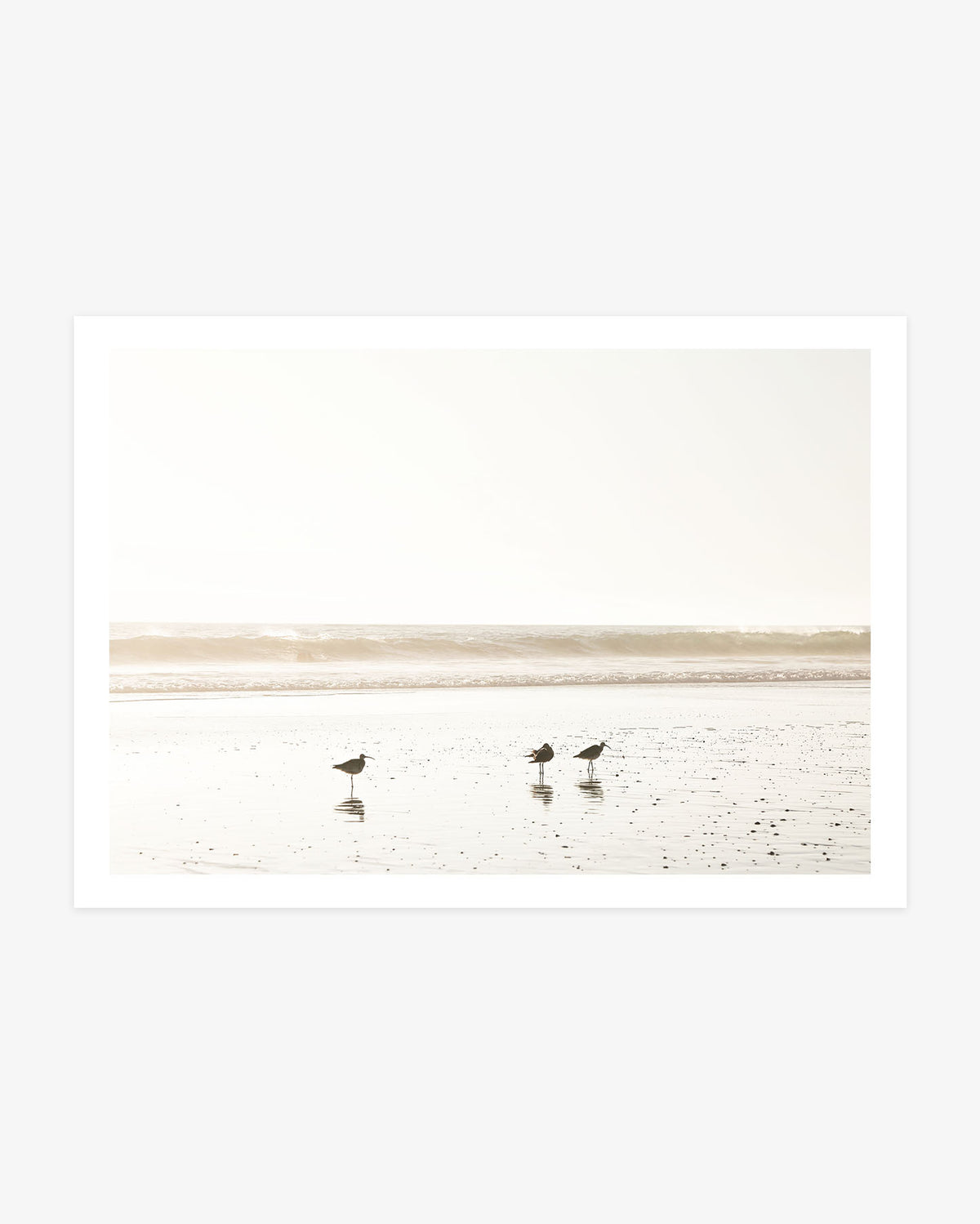 San Clemente shorebird wall art featuring three small birds reflected in shallow water as warm light falls across the beach and Pacific waves.