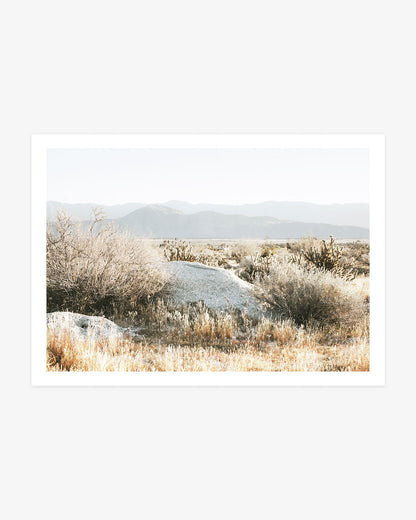 Pale granite boulder nestled among cholla cacti and sunlit desert scrub with distant mountains in Anza-Borrego.