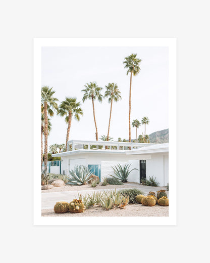 Palm Springs mid-century modern home photography with palm trees, agave, barrel cactus, and a bright desert garden.