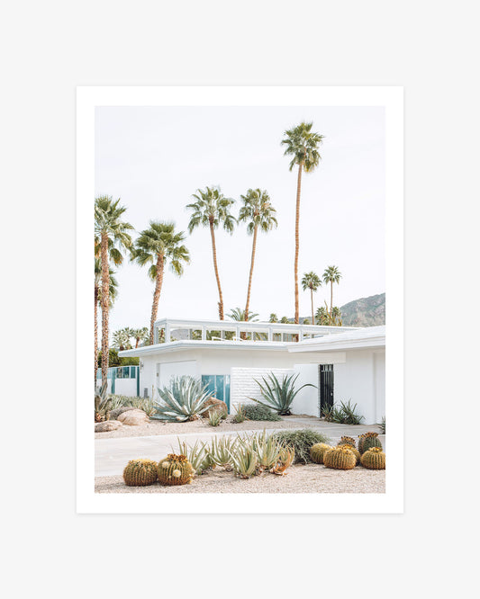 Palm Springs mid-century modern home photography with palm trees, agave, barrel cactus, and a bright desert garden.