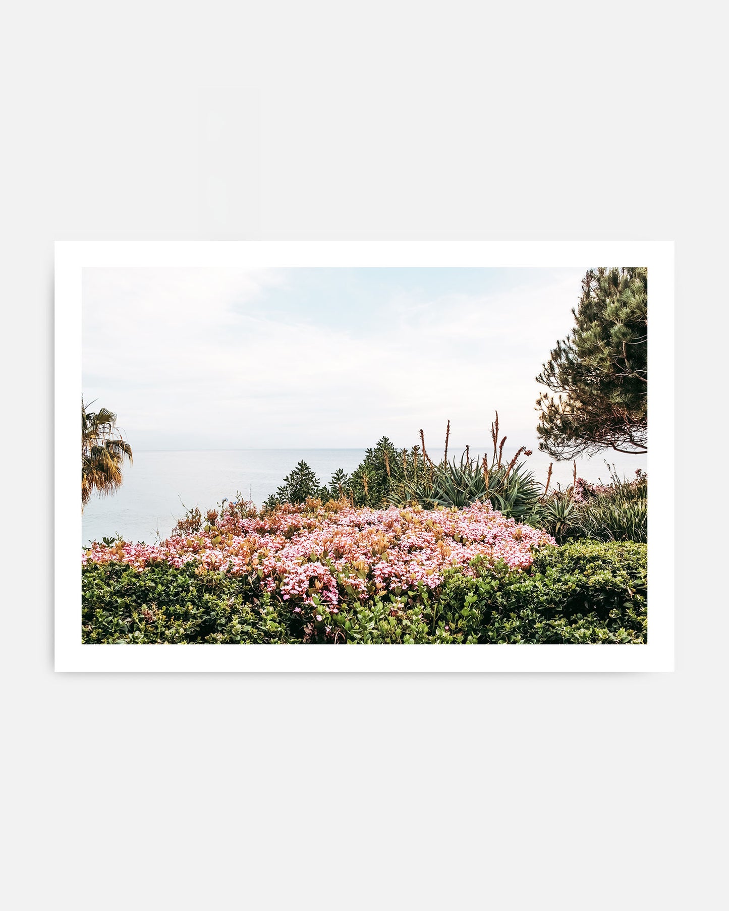 Coastal Blooms – Laguna Beach Wall Art