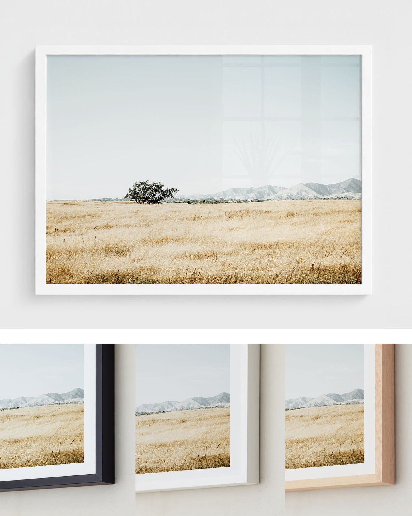 Quiet Prairie