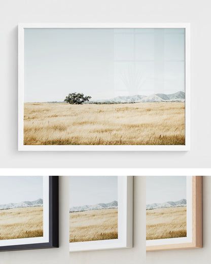 Quiet Prairie
