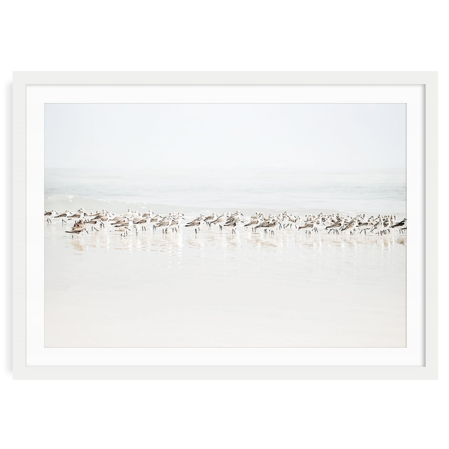 Sandpipers walking along a sandy beach with gentle ocean waves in the background coastal wall art print